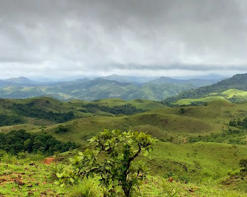kaginahare-bisle-girimane-homestay